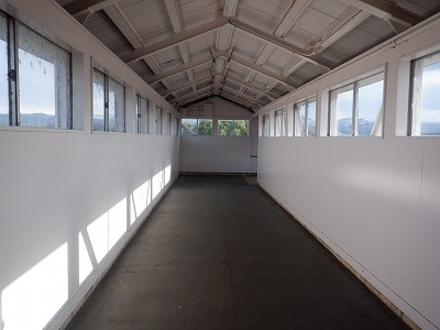 �����w�摜