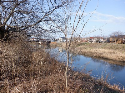 �����w�摜