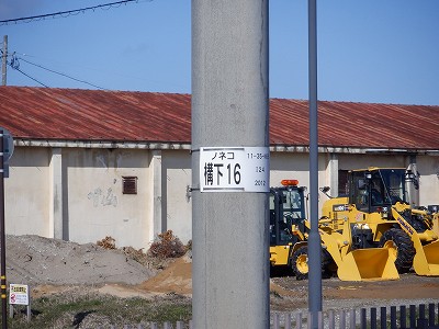 �\������w�摜