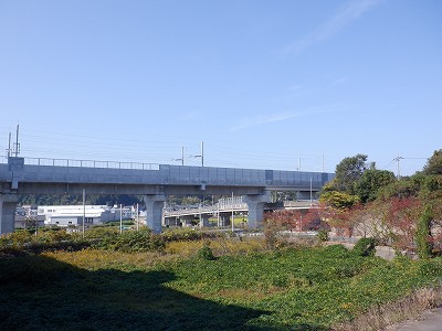 ��������w�摜