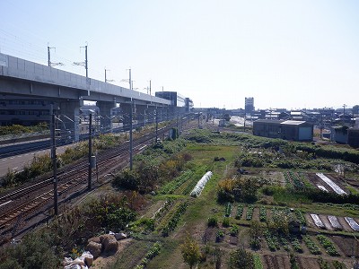 ��������w�摜