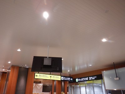 ���ꉷ��w�摜