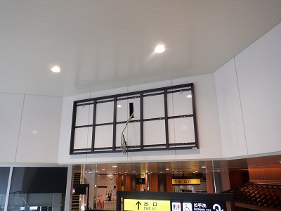 ���ꉷ��w�摜