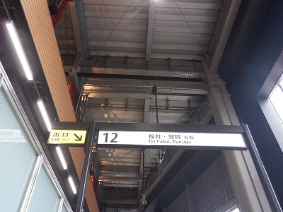 ���ꉷ��w�摜