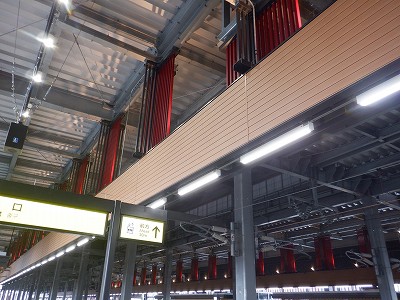 ���ꉷ��w�摜