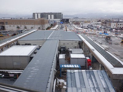 ���ꉷ��w�摜