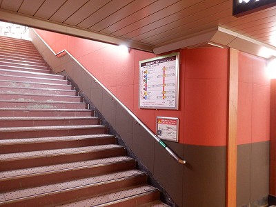 ���ꉷ��w�摜