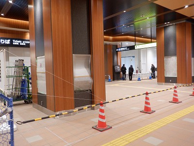 ���ꉷ��w�摜