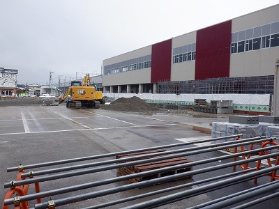 ���ꉷ��w�摜