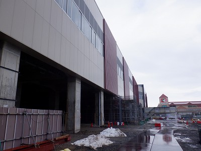 ���ꉷ��w�摜