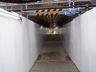 ���ꉷ��w�摜