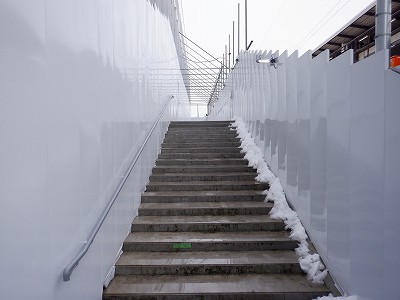 ���ꉷ��w�摜