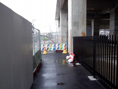 ���ꉷ��w�摜