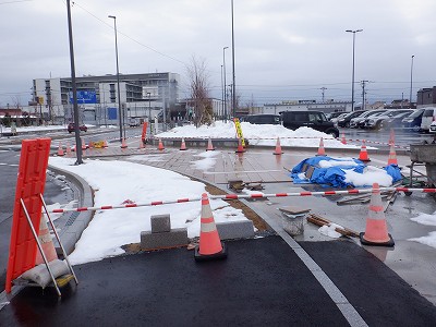 ���ꉷ��w�摜