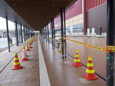 ���ꉷ��w�摜