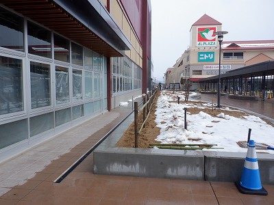 ���ꉷ��w�摜