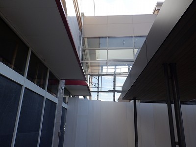 ���ꉷ��w�摜