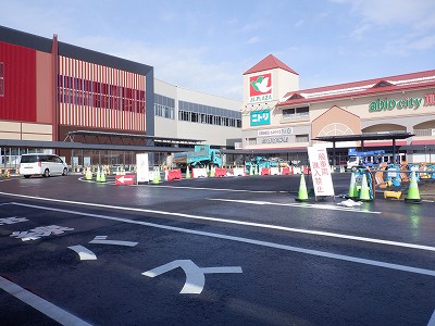 ���ꉷ��w�摜