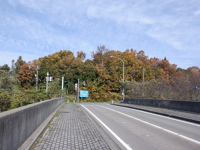 ��������w�摜