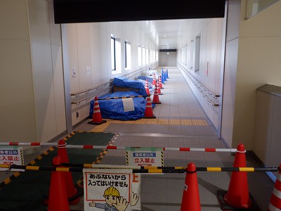 ��������w�摜