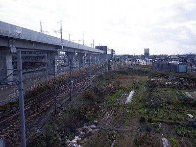 ��������w�摜