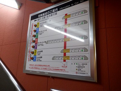 ���ꉷ��w�摜