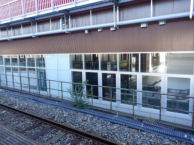 ���ꉷ��w�摜