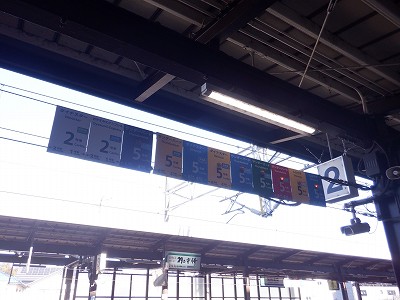 ���ꉷ��w�摜