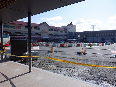 ���ꉷ��w�摜