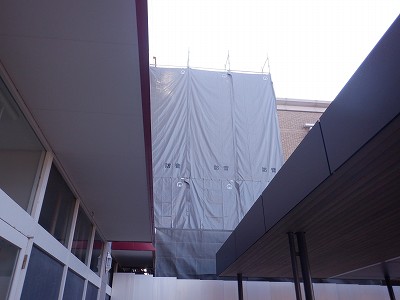 ���ꉷ��w�摜