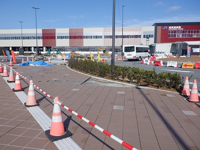 ���ꉷ��w�摜