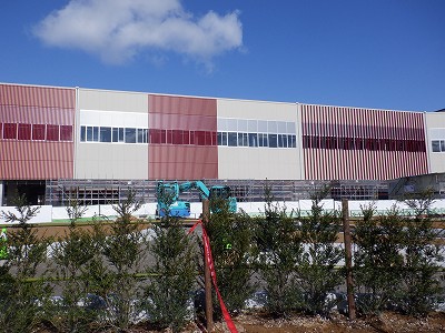 ���ꉷ��w�摜