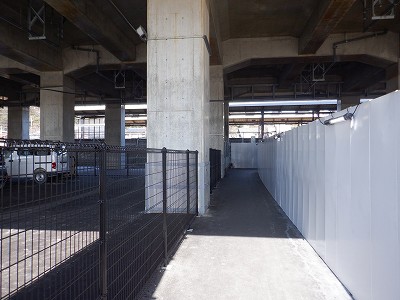 ���ꉷ��w�摜