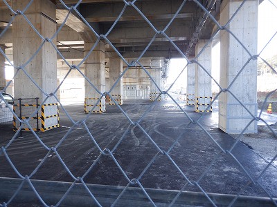 ���ꉷ��w�摜