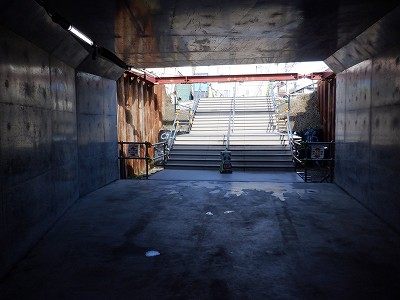 ���ꉷ��w�摜