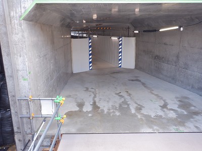 ���ꉷ��w�摜