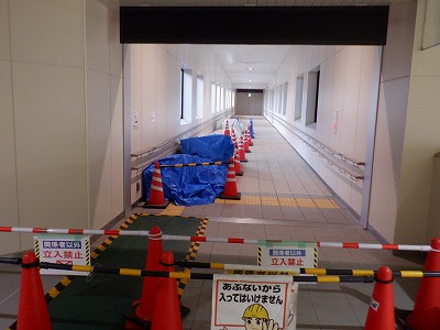 ��������w�摜