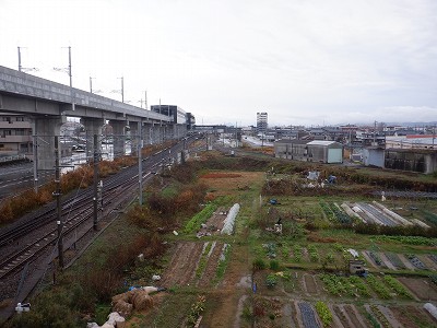 ��������w�摜