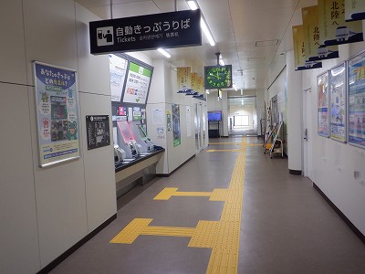 ��������w�摜