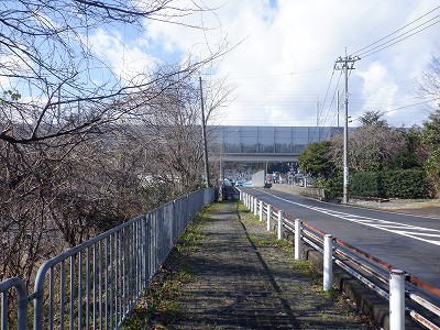 ��������w�摜