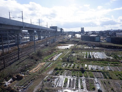 ��������w�摜