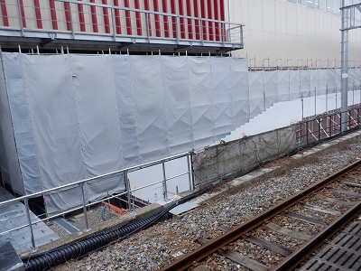 ���ꉷ��w�摜