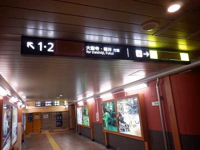 ���ꉷ��w�摜