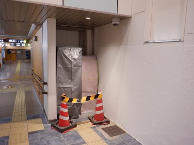 ���ꉷ��w�摜