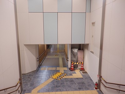 ���ꉷ��w�摜