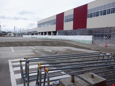 ���ꉷ��w�摜