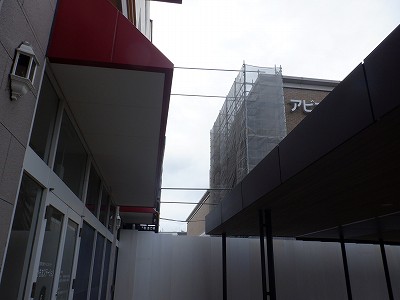 ���ꉷ��w�摜