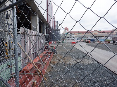 ���ꉷ��w�摜