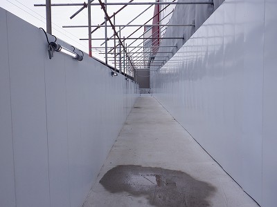 ���ꉷ��w�摜