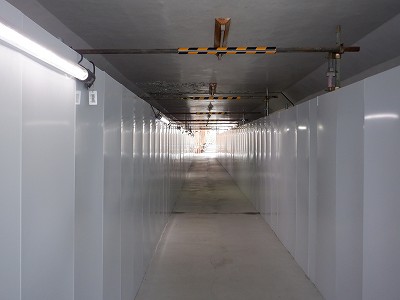 ���ꉷ��w�摜